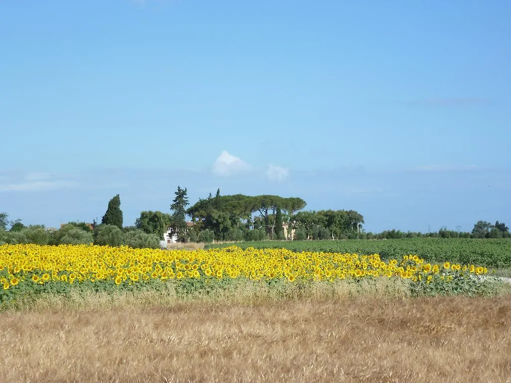 Casa Vacanze Vignarca - Localita Perelli 0*, Riotorto Italy
