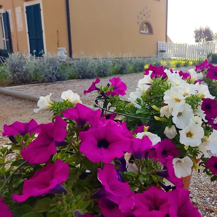 Country house Casa Vacanze Vignarca - Localita Perelli